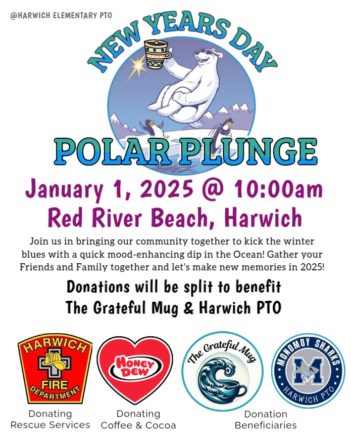 HES Annual NEW YEARS DAY POLAR PLUNGE!