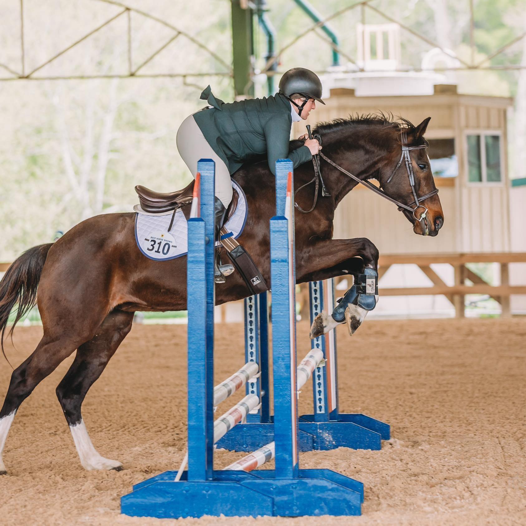 Noble Stables - Great day at Bay State classic, reserve champion to ...