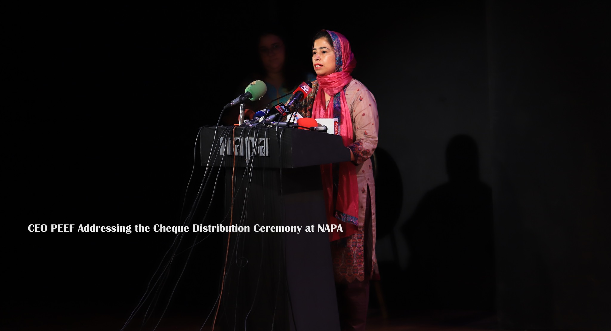 CEO PEEF SYEDA... - Pakistan Education Endowment Fund - PEEF | Facebook