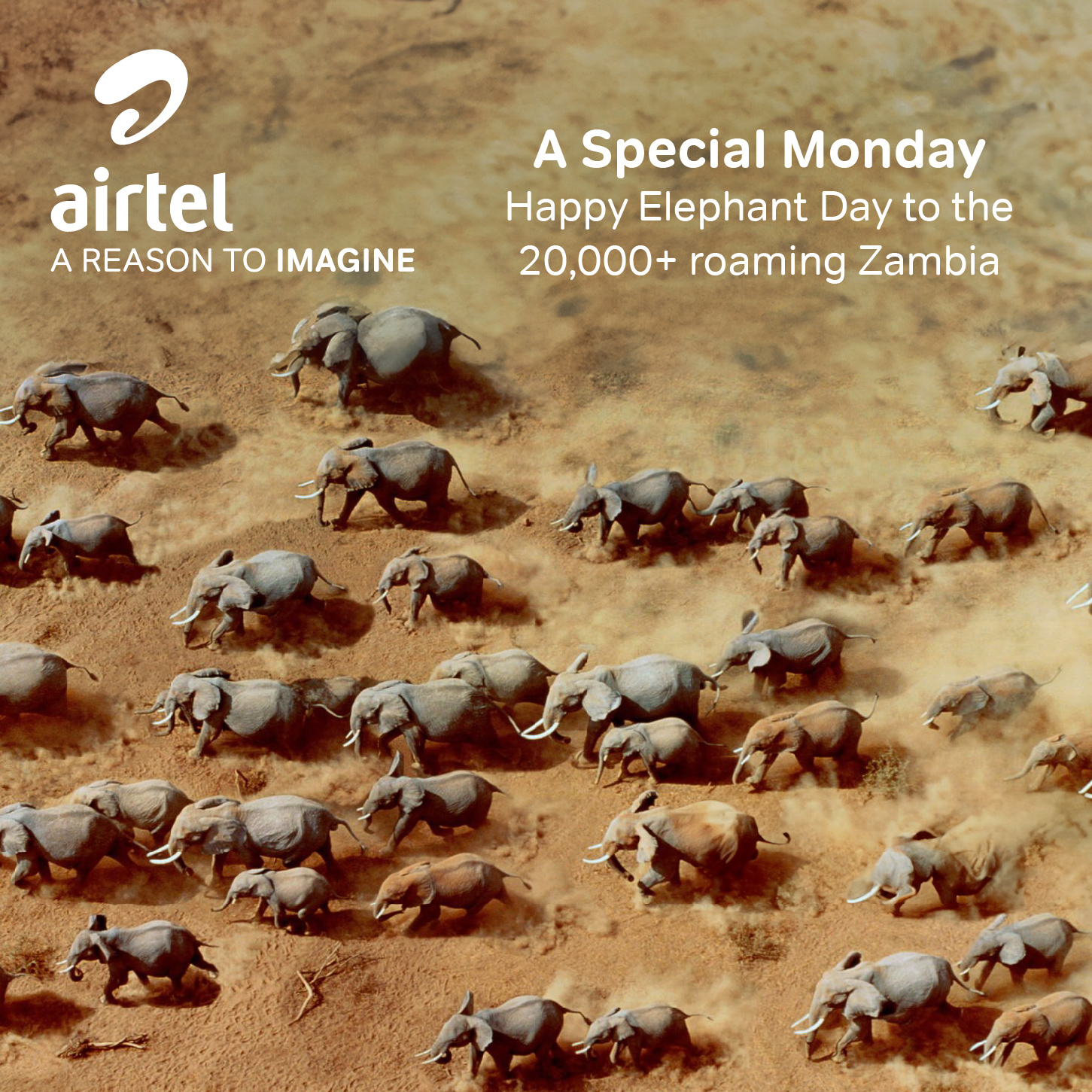 Airtel - It's Elephant Day! Time to tusk up and celebrate our big-eared ...