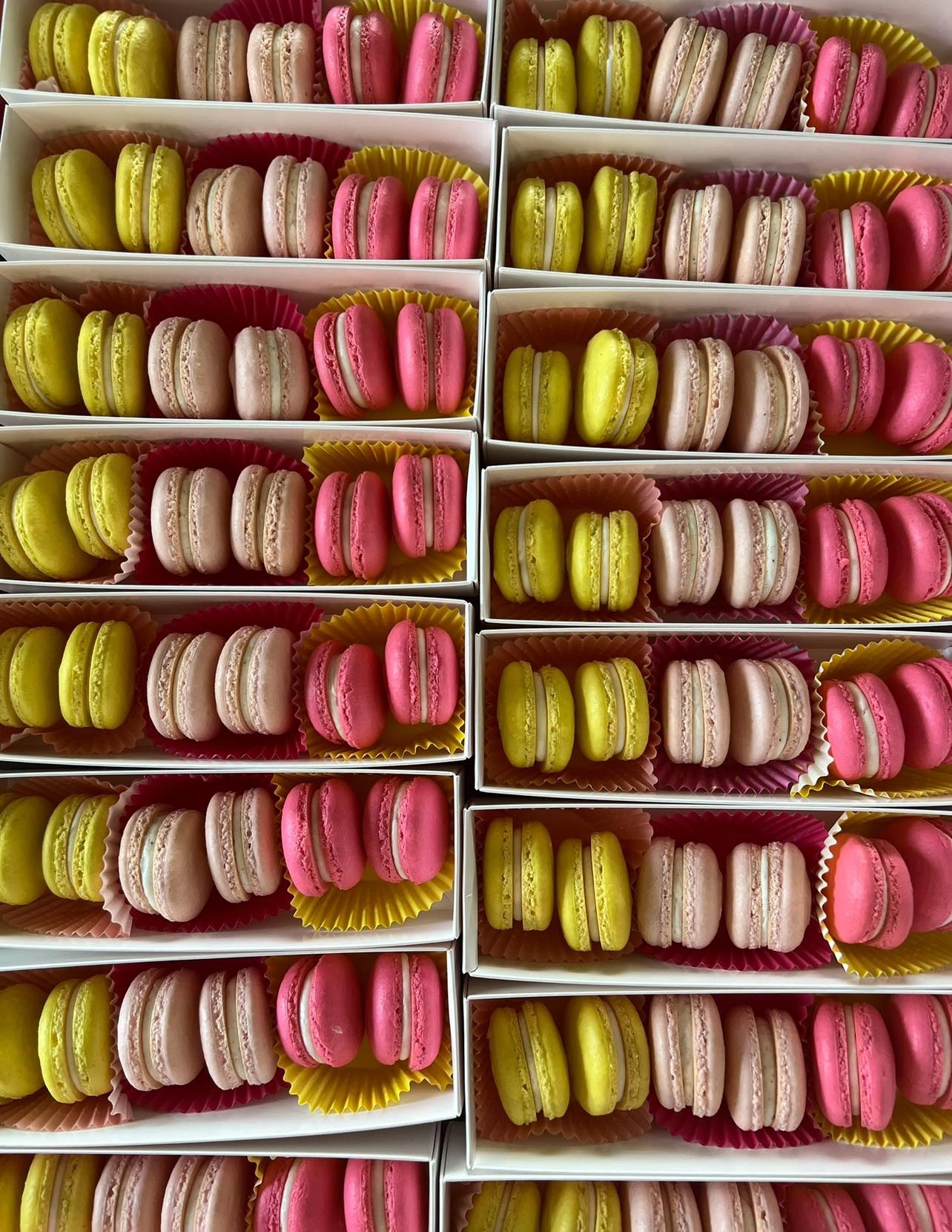Curated visual reference: Visual Reference: Delicate Delights Baking Co