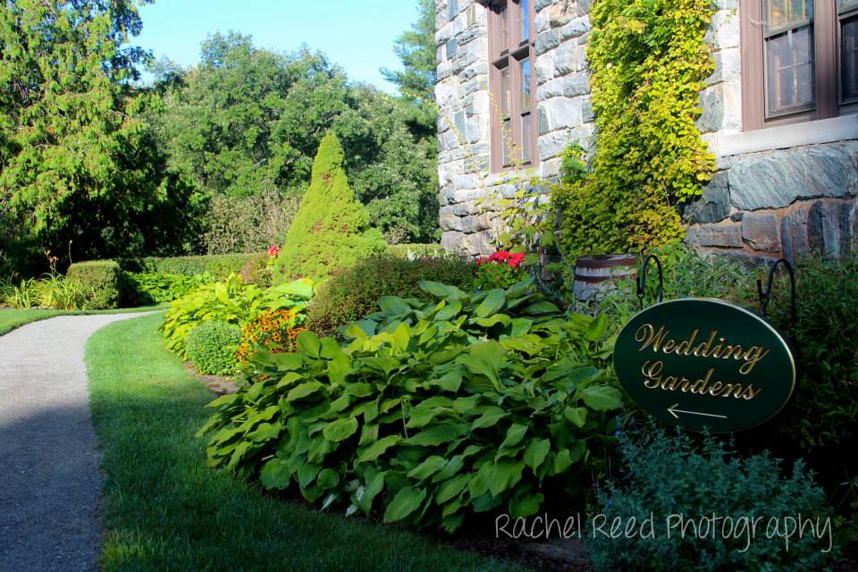 Rachel Reed Photography - Home
