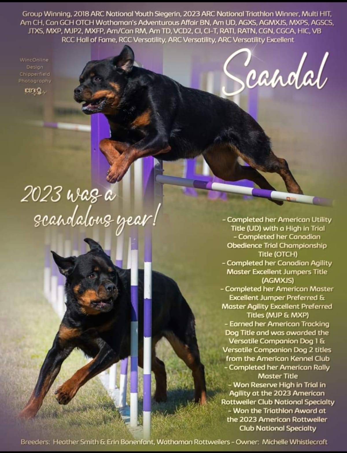 Wathaman Rottweilers