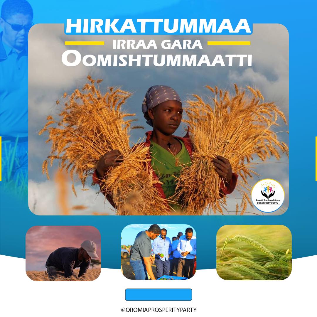 Malkaa Wottichaa