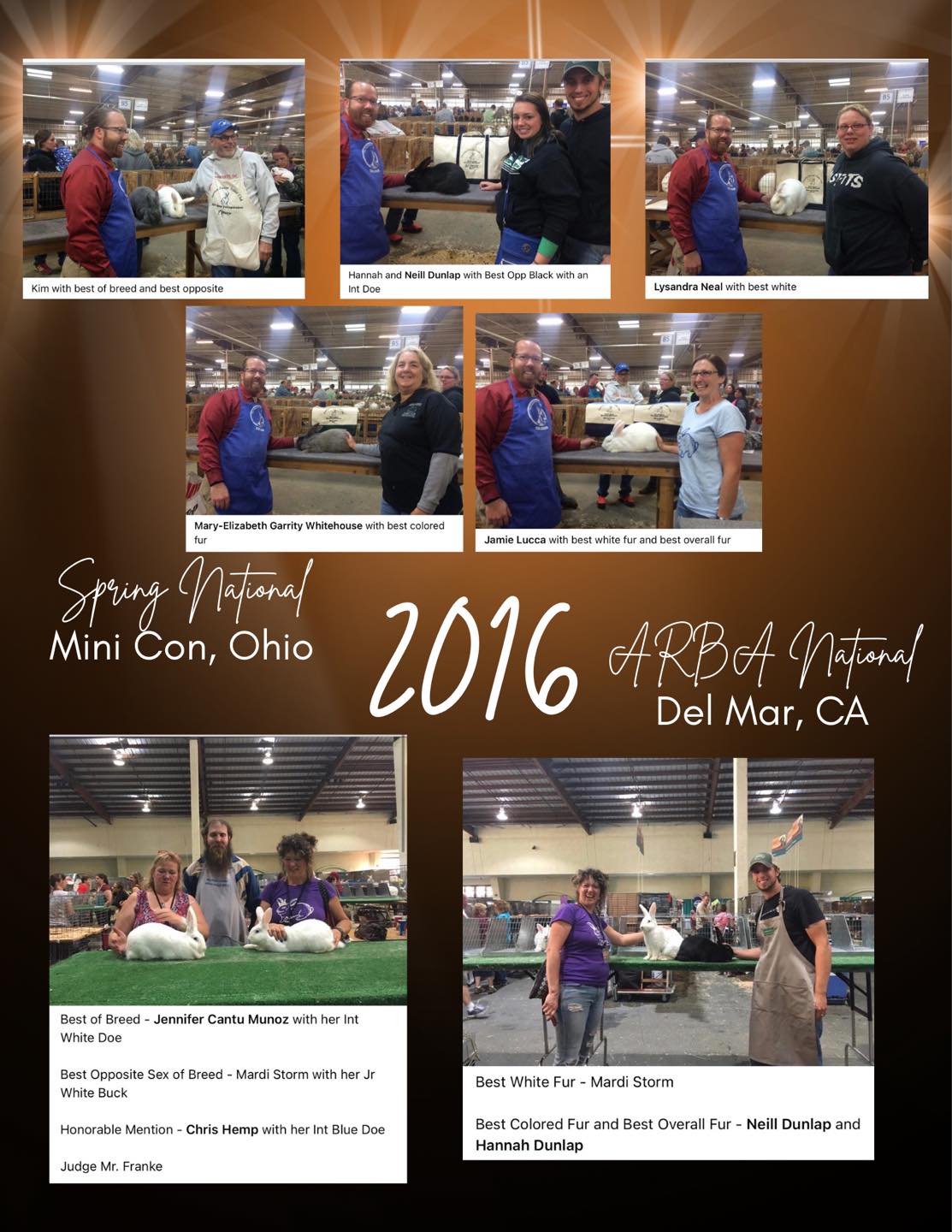 American Beveren Rabbit Club