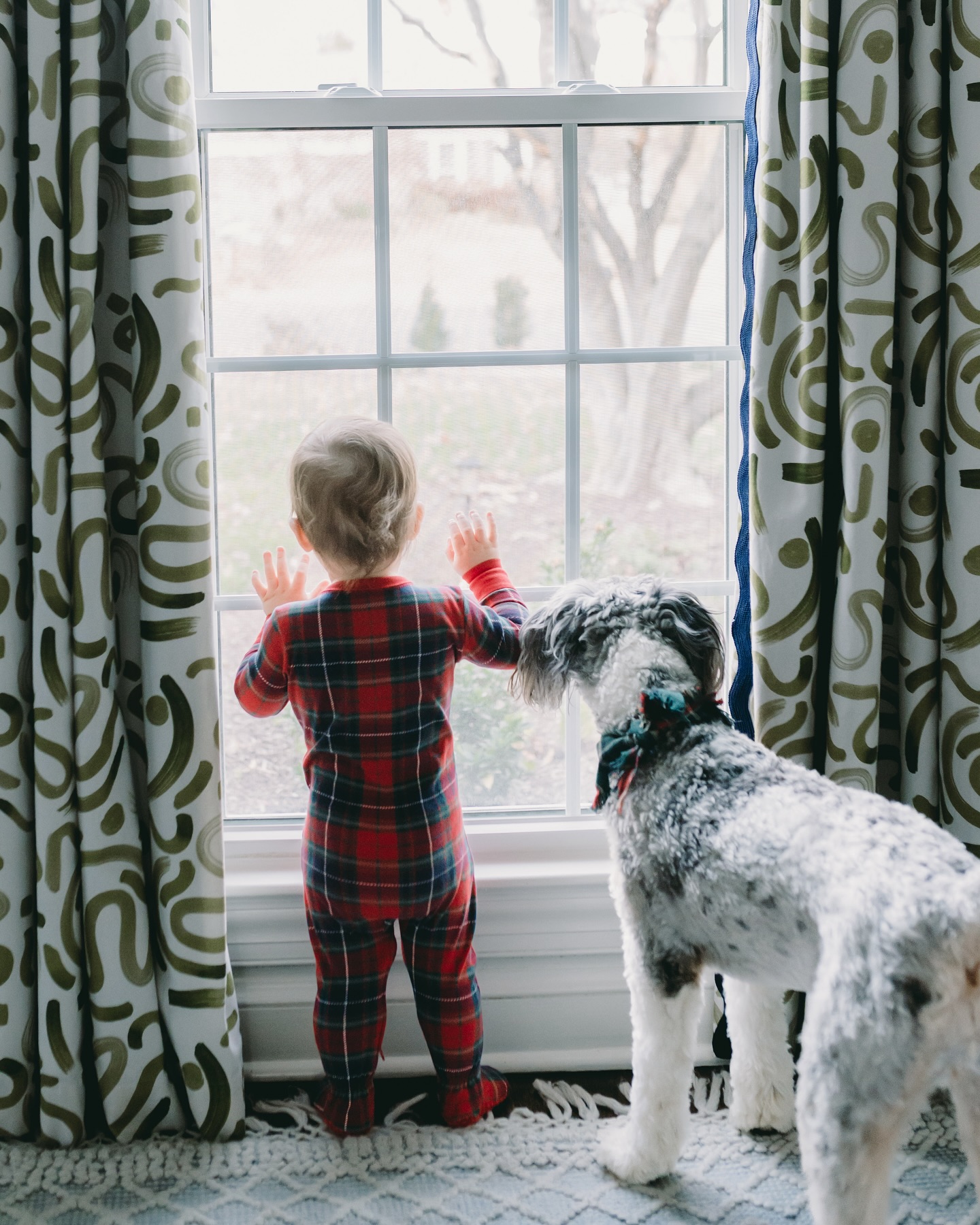 Julia Rose Interiors | Alexandria VA