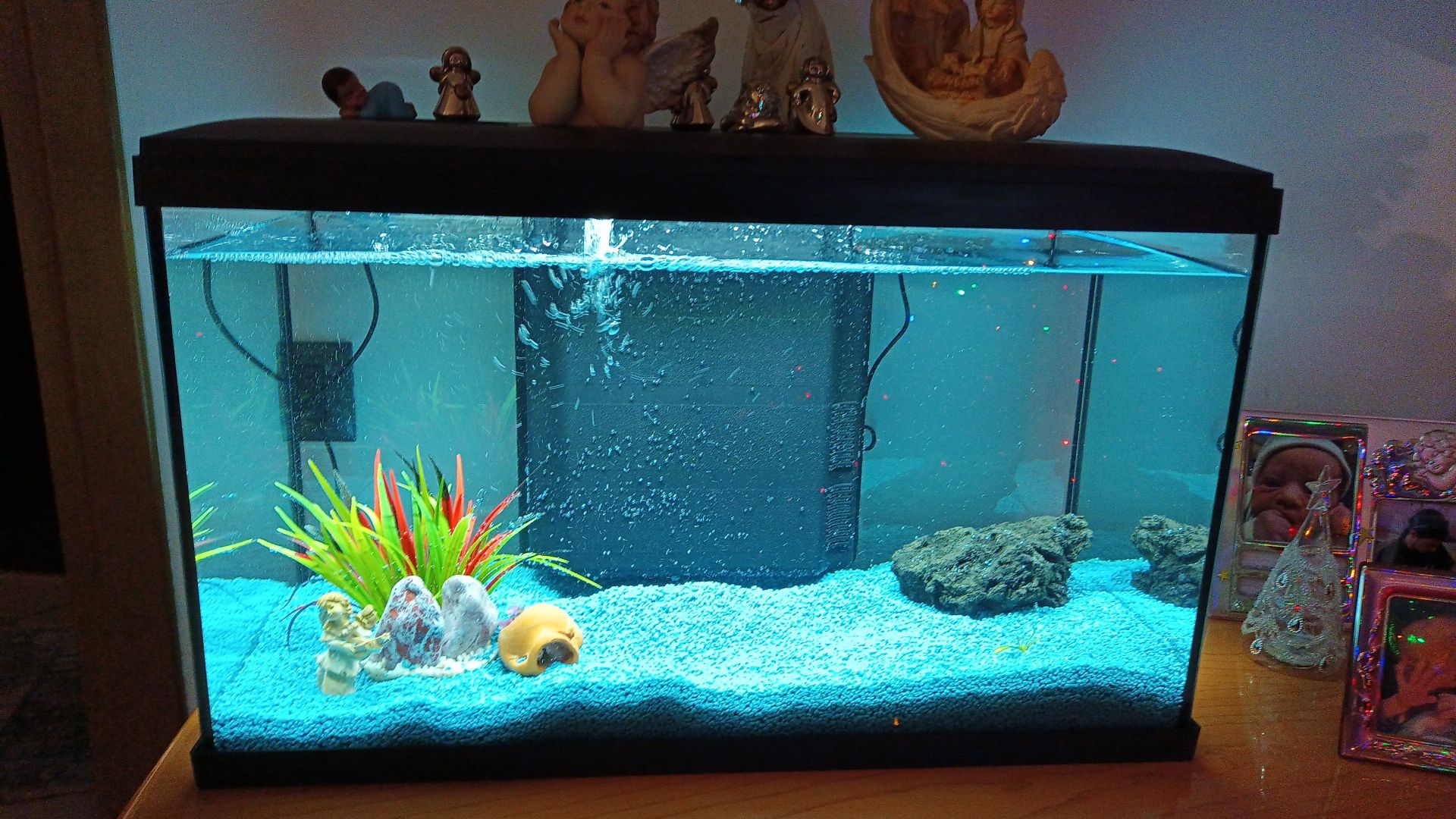 Acquario Piccolo Completo Ambesty 6 Litri - Con LED E Filtro, Per Pesci Rossi E Tartarughe