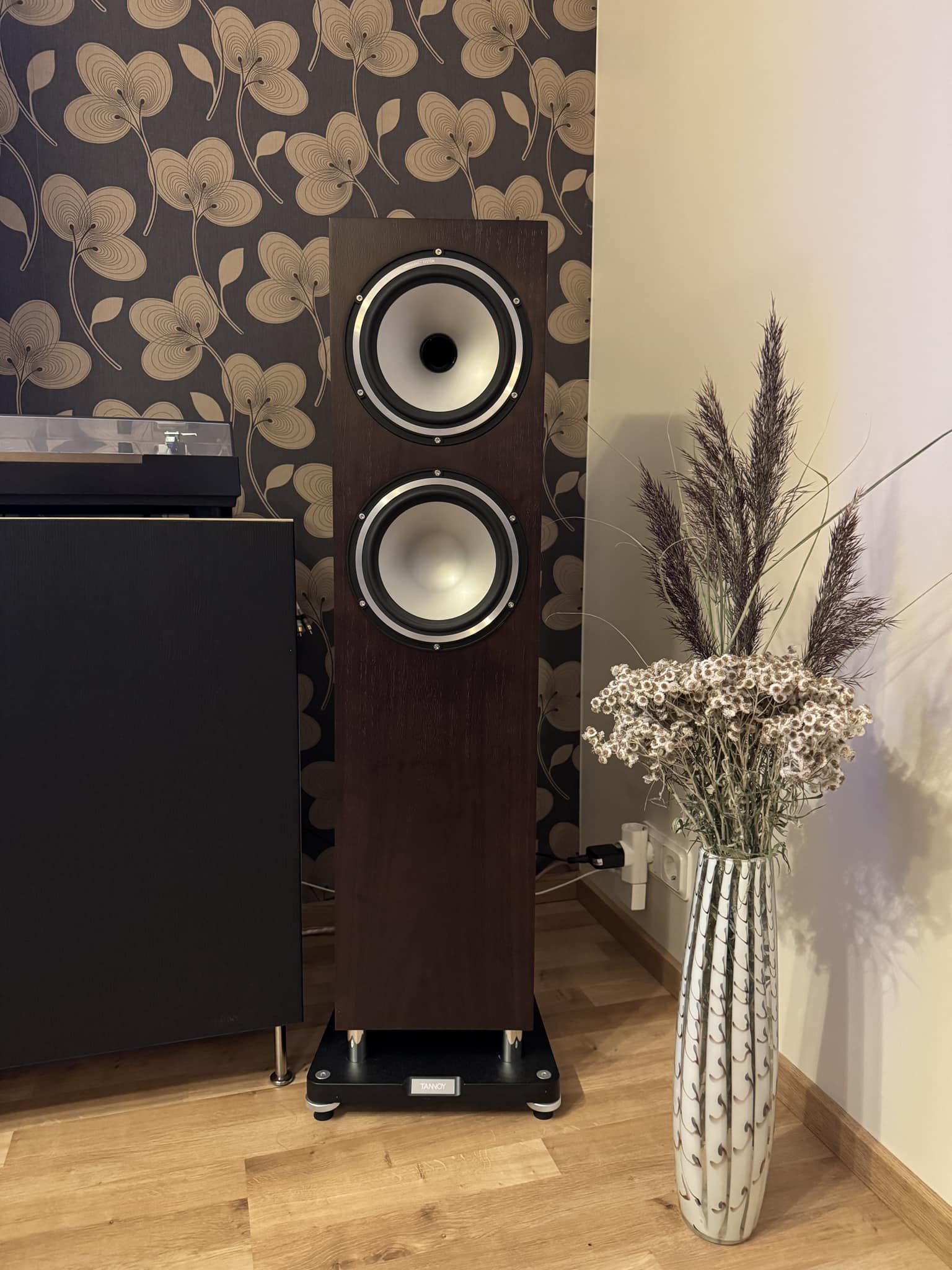 Tannoy Revolution XT Mini speaker repair for low volume output