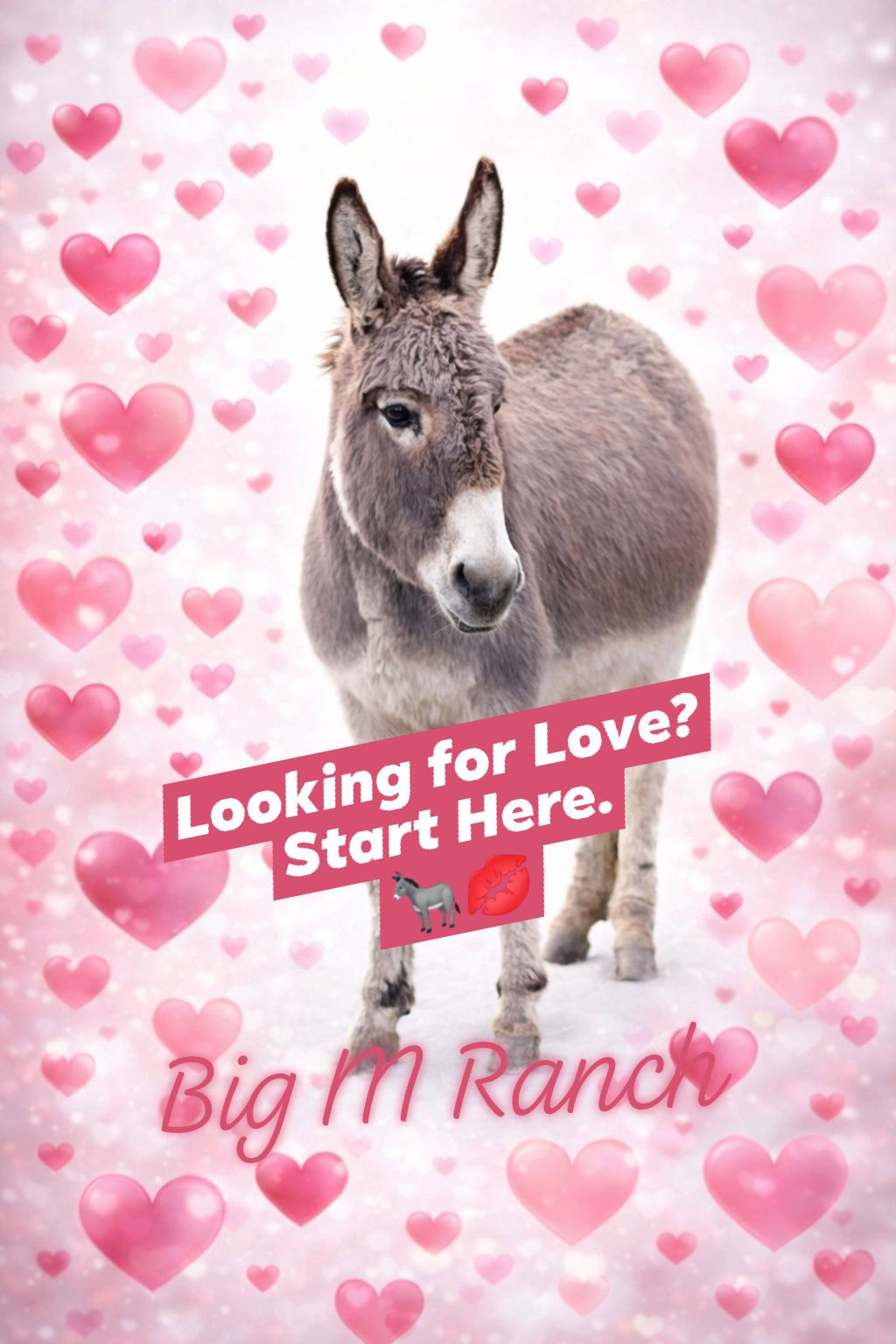 Big M Ranch | Elizabethtown NC