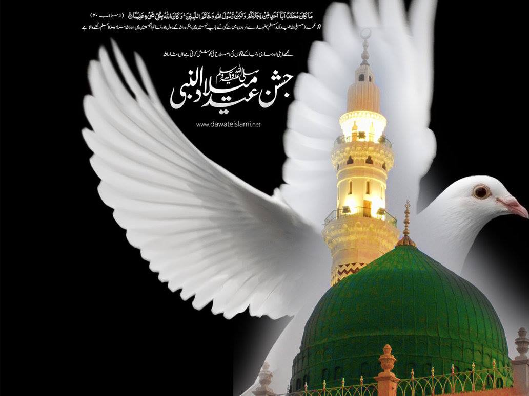 Muhammad Shoaib Bhatti Rajput