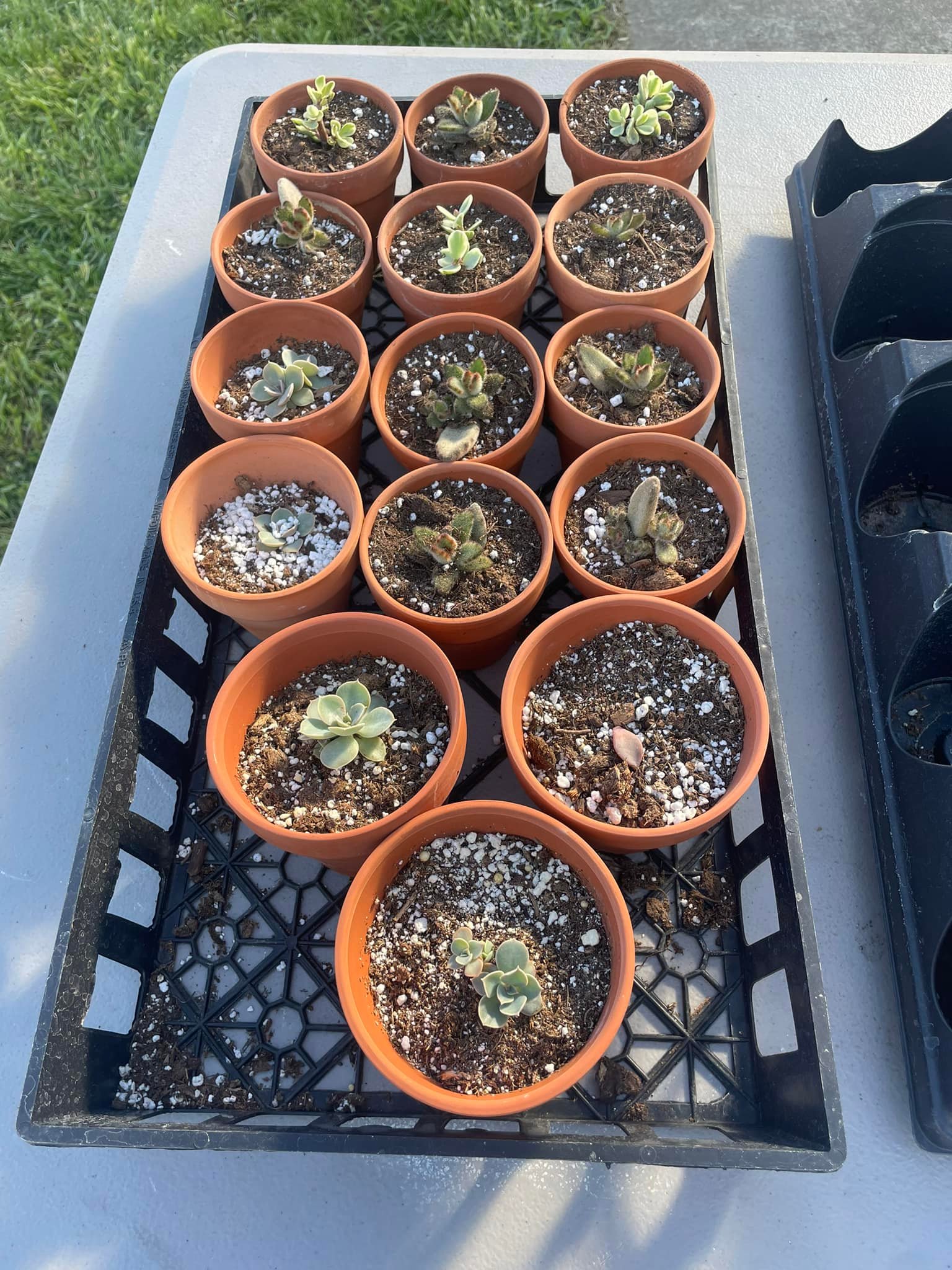 Lebanon FFA Greenhouse | Lebanon TN