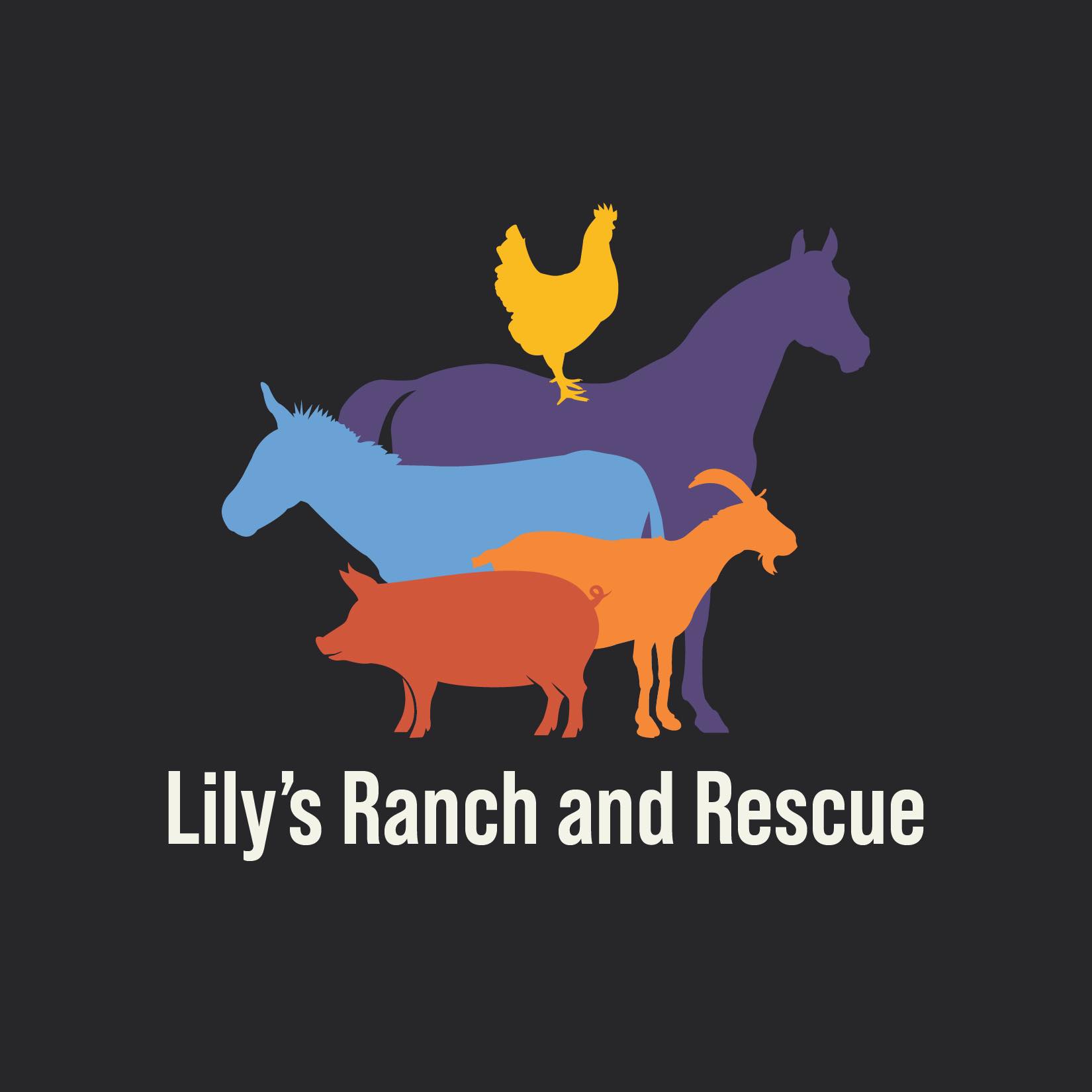 Lily's Ranch and Rescue | Auburn KY