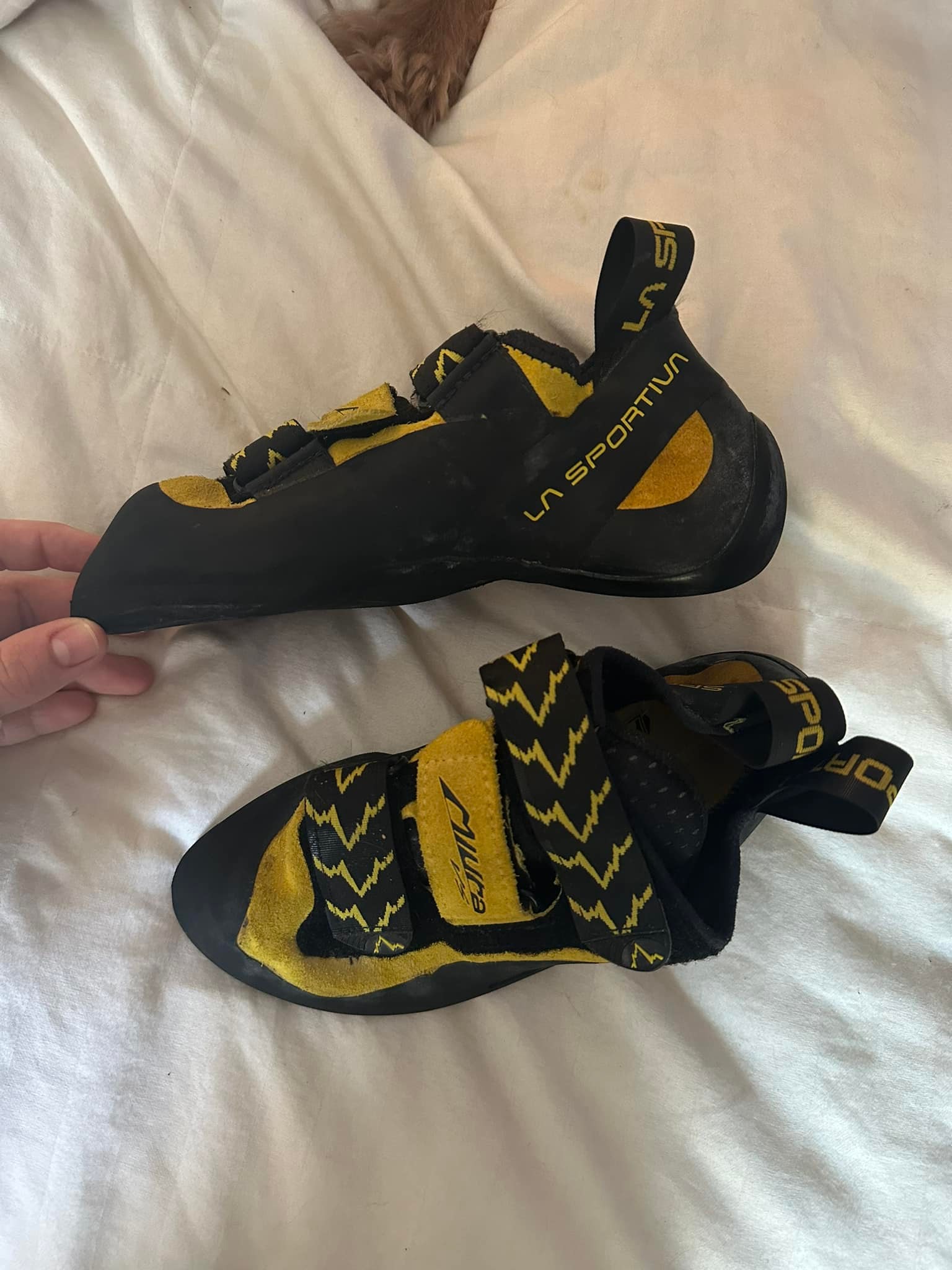 La Sportiva Miura woman 37 おおきく 1/2