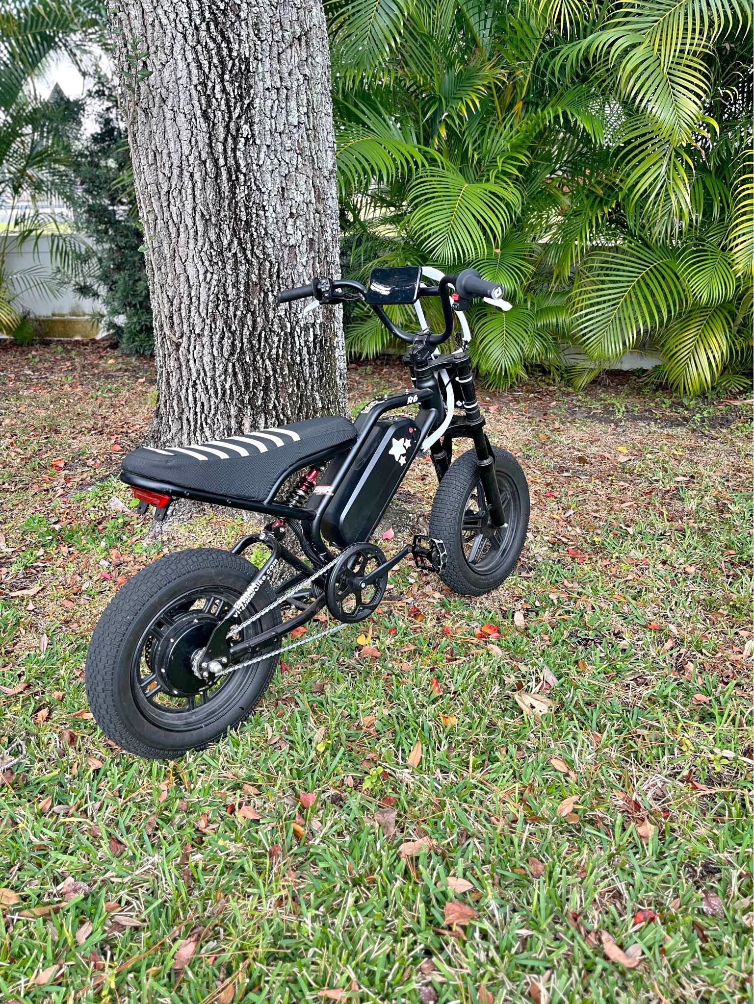 Modded victrip r6 e-bike 2025 - Bicycles - Palm Harbor, Florida ...