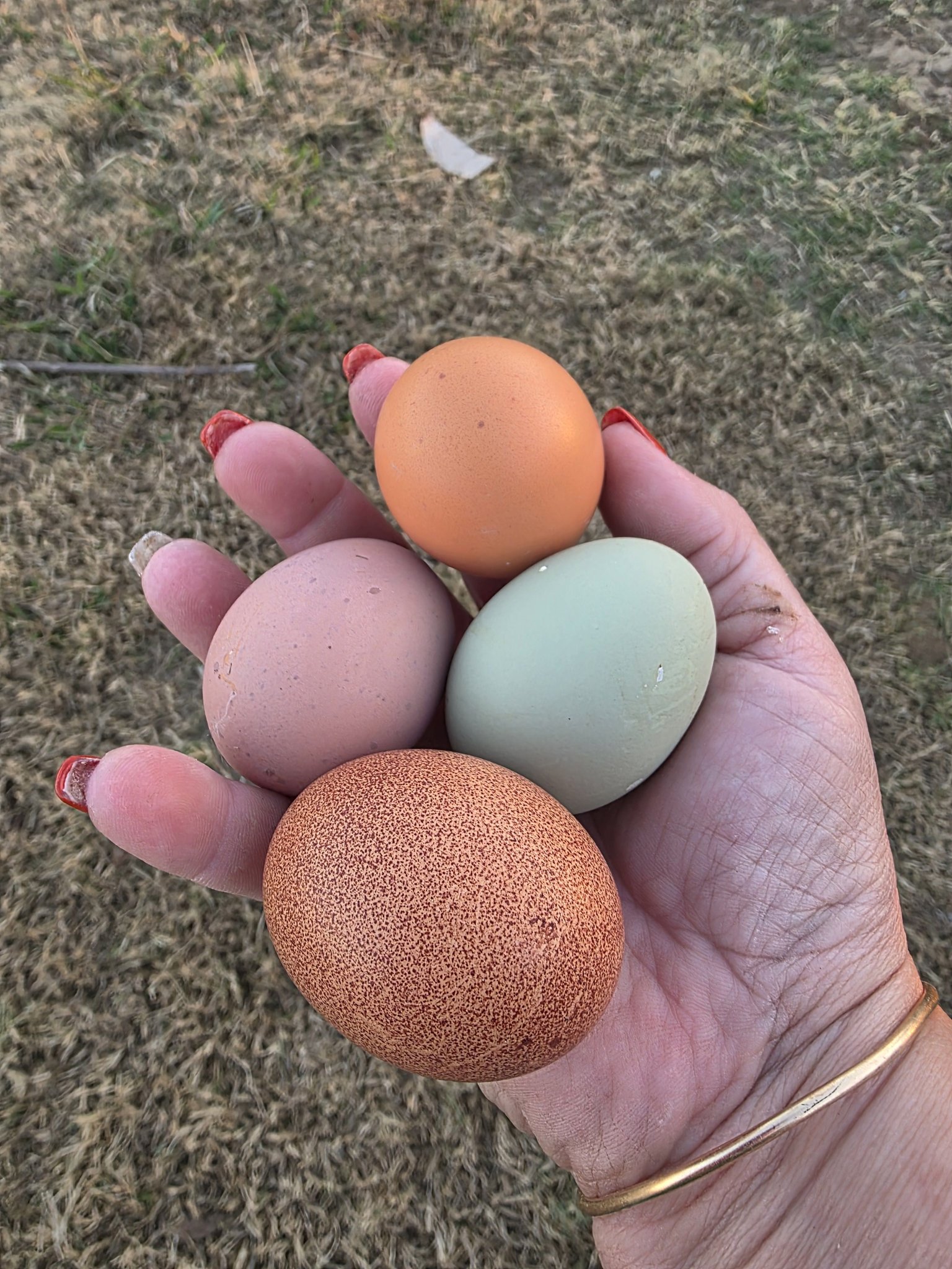 Feather Ridge Farms