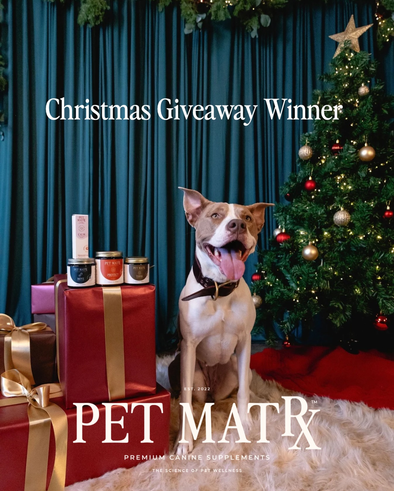 Pet - 🎄 CHRISTMAS GIVEAWAY WINNER 🎄 The wait is over, and here’s our ...