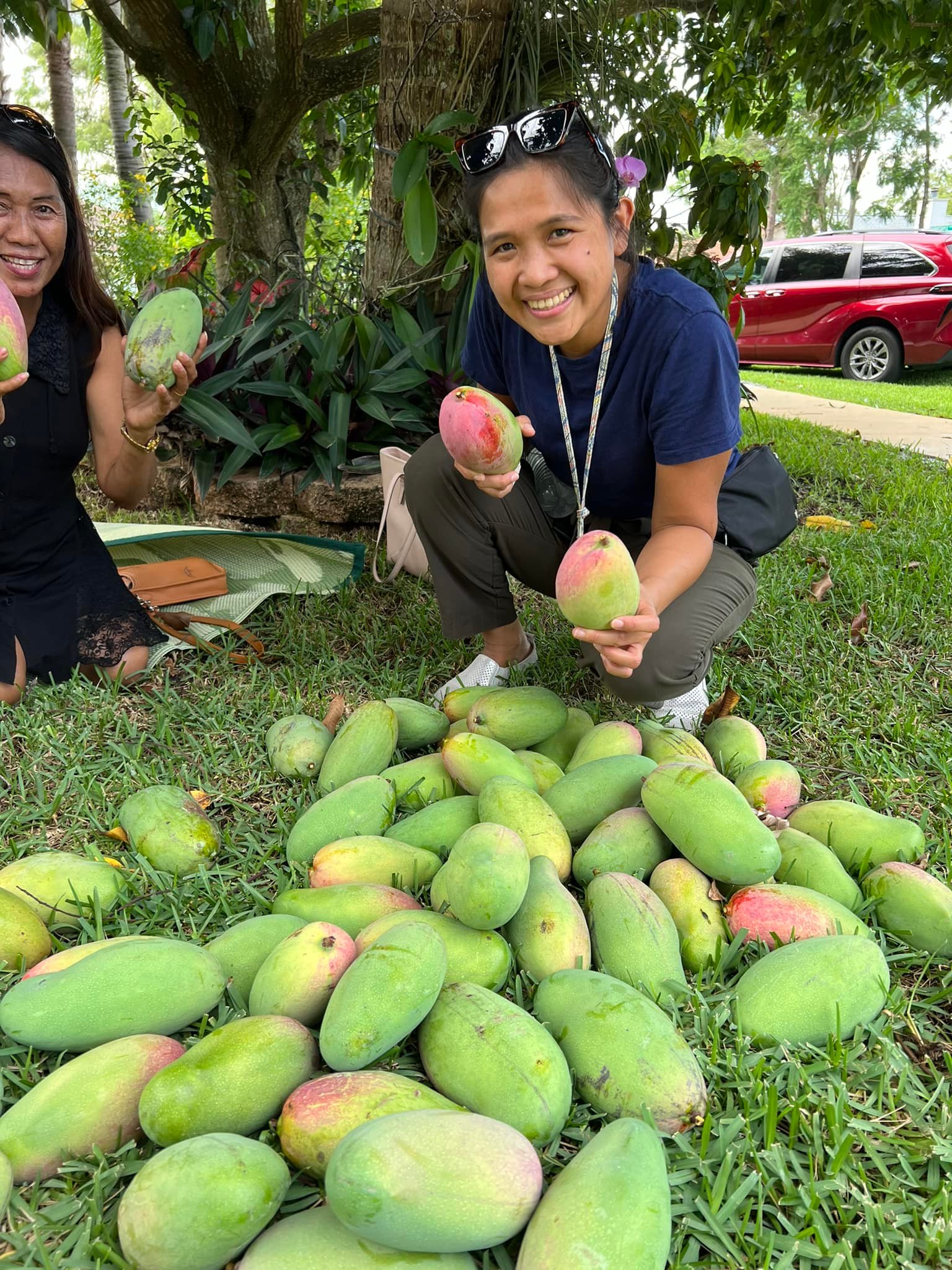 Inday - Hindi alam ano ang pipiliin ang laki ng mangga hehe Inday ...