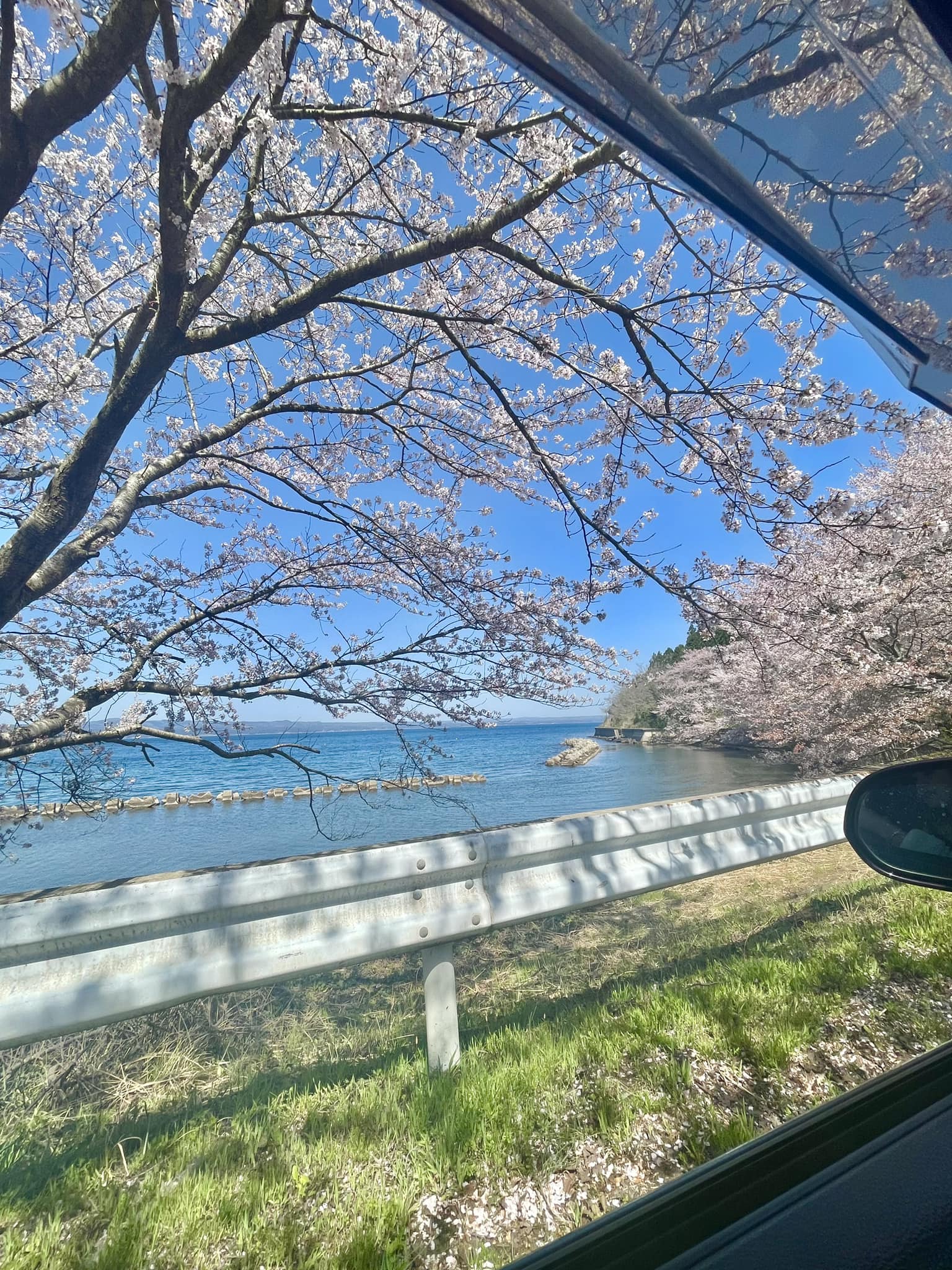 View from the car window in Japan🇯🇵