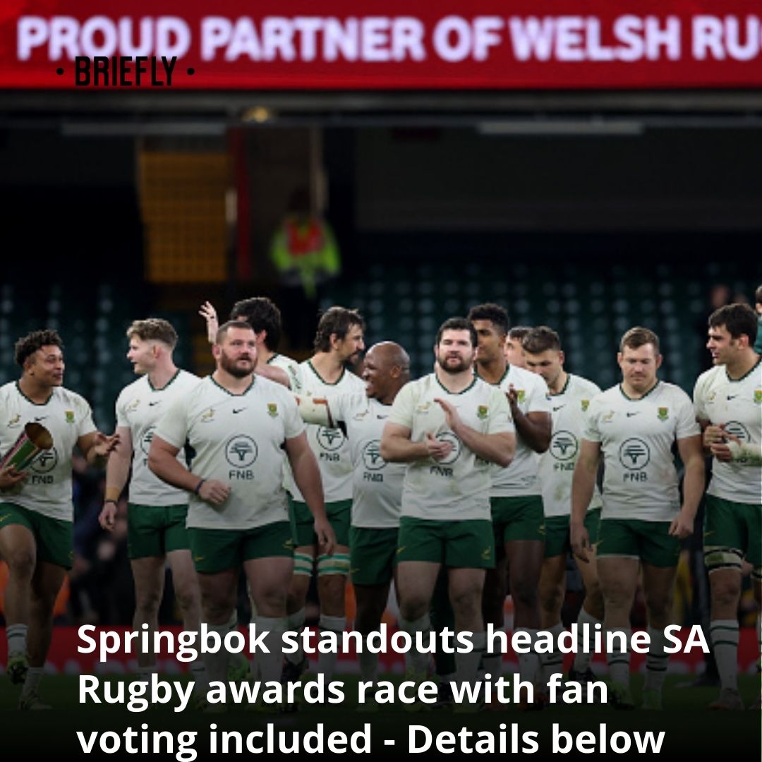 Briefly - One star player could make history as the Springboks dominate ...
