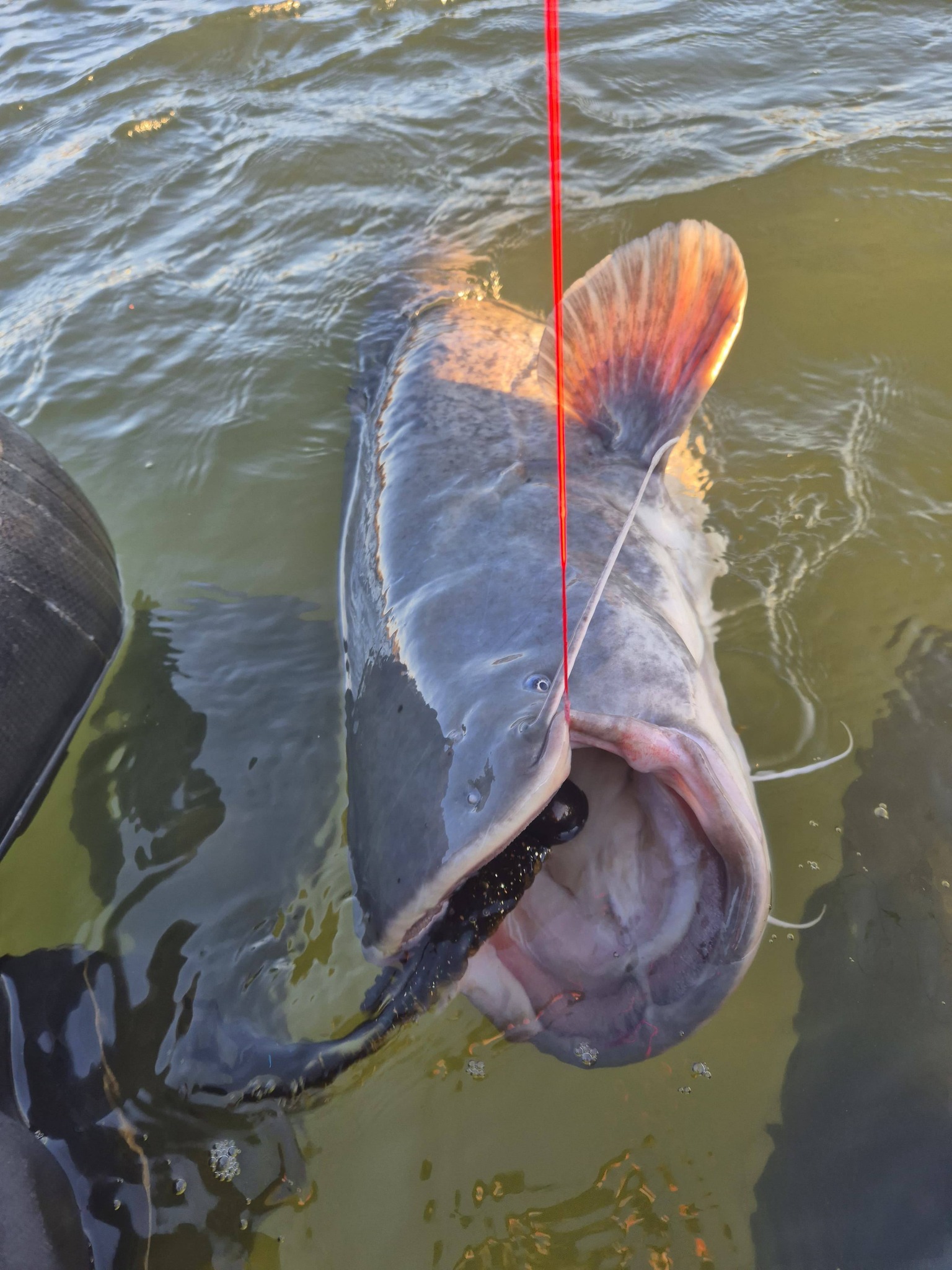 Roofbeet Jigheads Lures