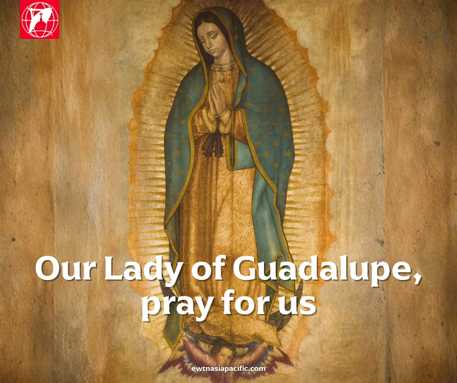 EWTN - December 12 | Feast of Our Lady of Guadalupe Today we celebrate ...