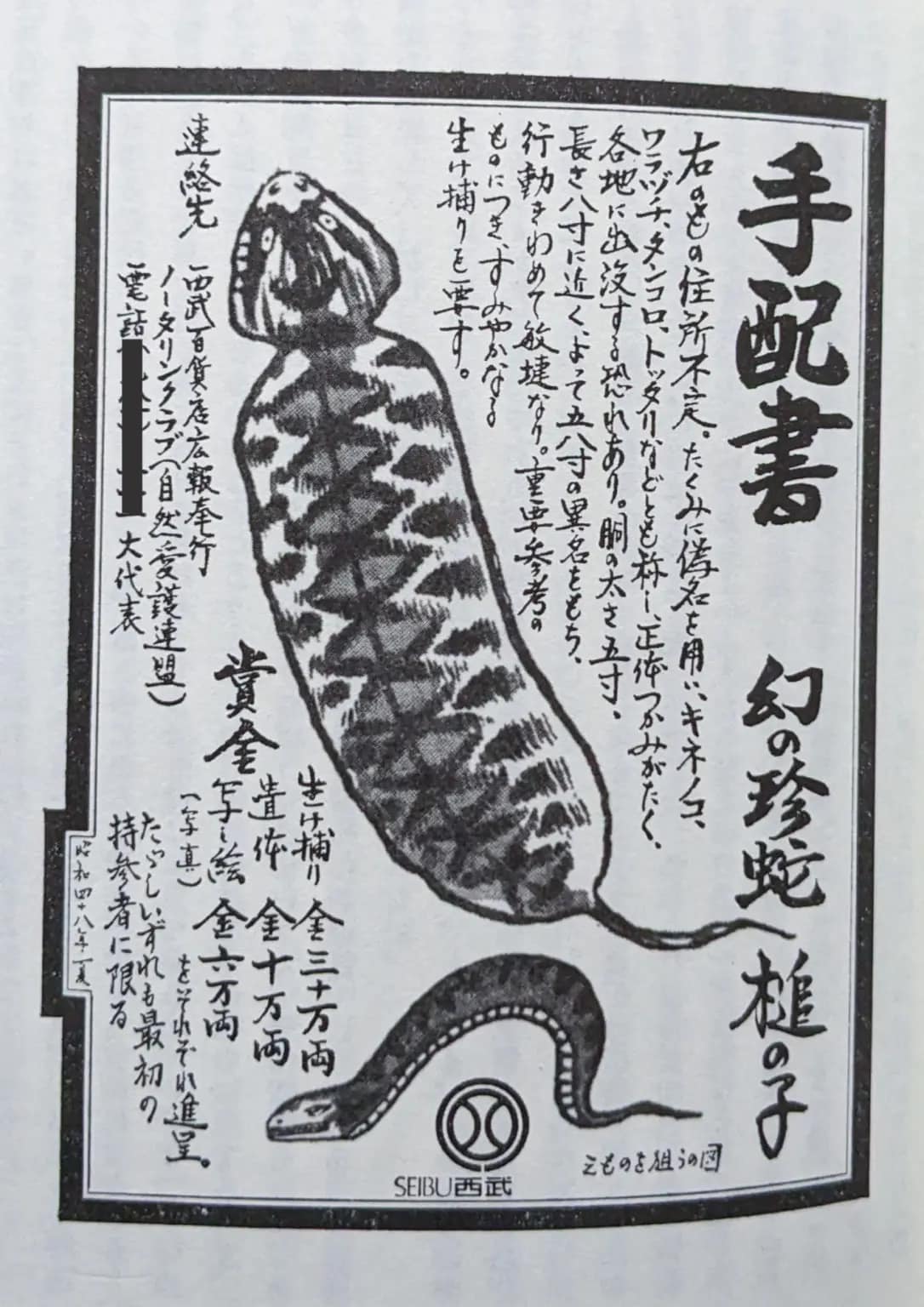 Joel來談日本 - 日本傳說中的動物「土龍」，據說長得像蛇又像蜥蜴。岐阜県東白川村每年5月3日舉辦的「つちのこフェス... | Facebook