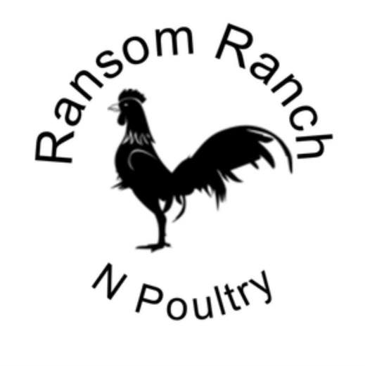 Ransom Ranch N Poultry | Facebook