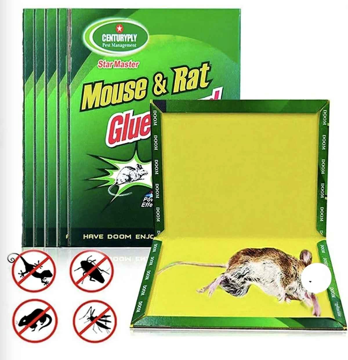 📍PEGA RATA, ATRAPA RATONES🐭🐁 - Books - Trujillo, Peru | Facebook ...