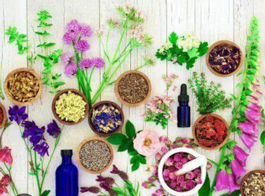 Floral Energy 4 U - "In true healing the nature and name of the ...