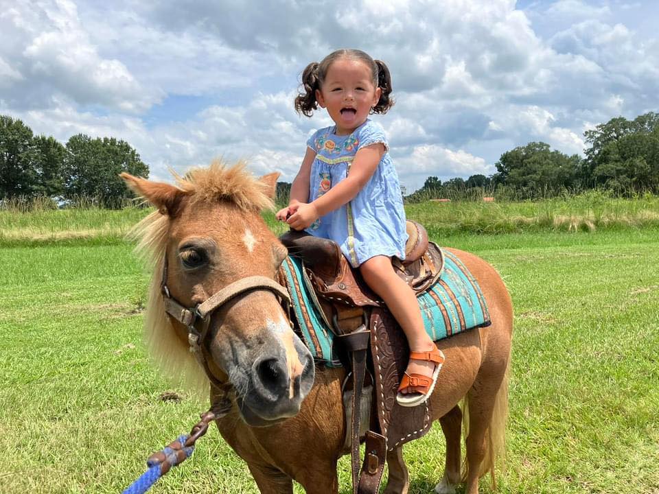 Bar None Ranch Pony & Petting Zoo Parties | Church Point LA