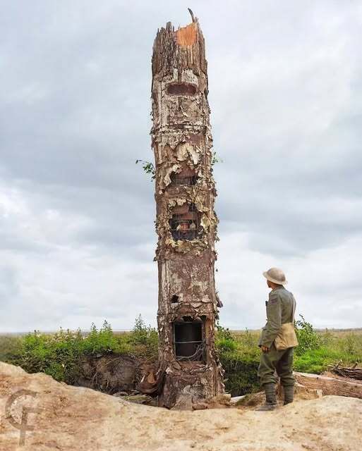 MilitaryHistoria - IN WWI dummy trees were used primarily as ...