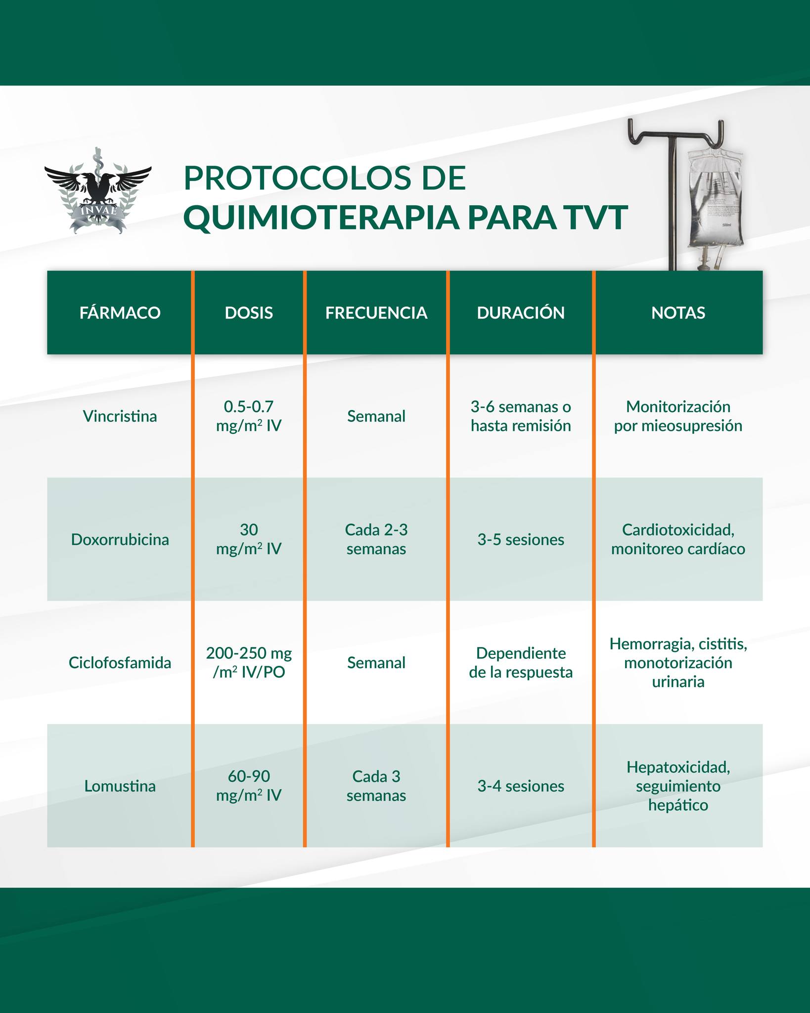 INVAE - PROTOCOLOS DE QUIMIOTERAPIA: TVT 🐶🐾 El tumor venéreo ...