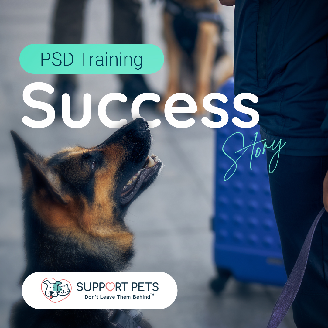 Support Pets - Meet Max and his handler, Sarah. Max is...
