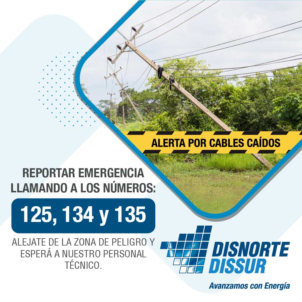 Disnorte-Dissur