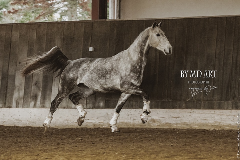 19eme jour de la série spéciale... - By md art photographie | Facebook