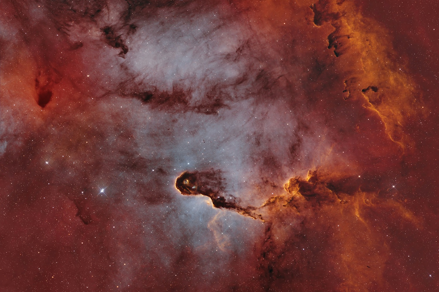 TelescopeLive - NGC 3293 by Astro Dinsk Acquisition: One-Click ...