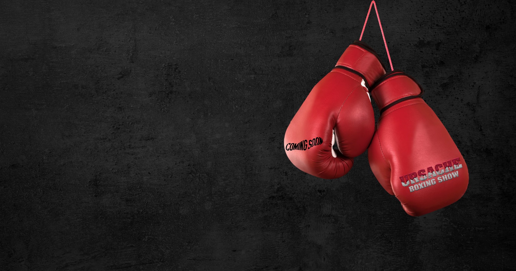 Ursache Boxing Show | Brasov