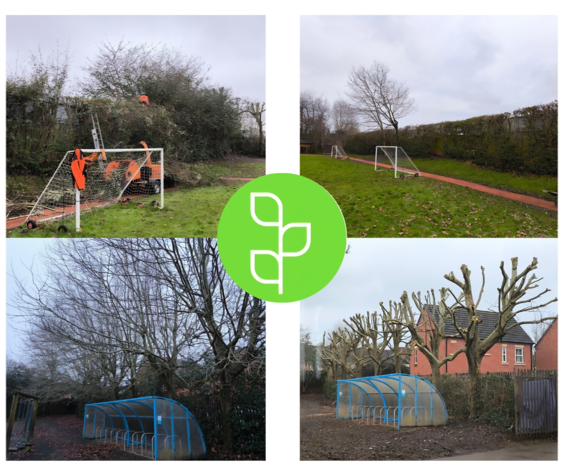 Ideal Tree Services | Halesowen