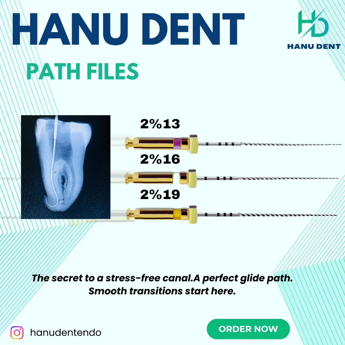 A Proud Milestone... - Hanu Dent Endo Instruments by Hanumat | Facebook