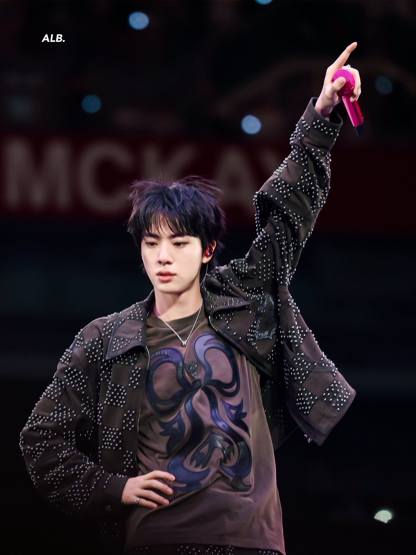 JIN - ARIRANG IN TAMPA 260428 📸 @alittlebraver92 #방탄소년단진