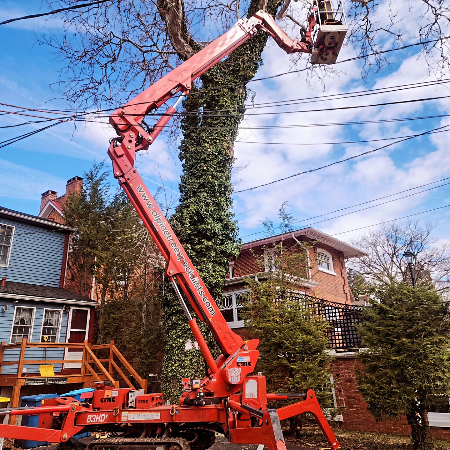Alpine Tree Service