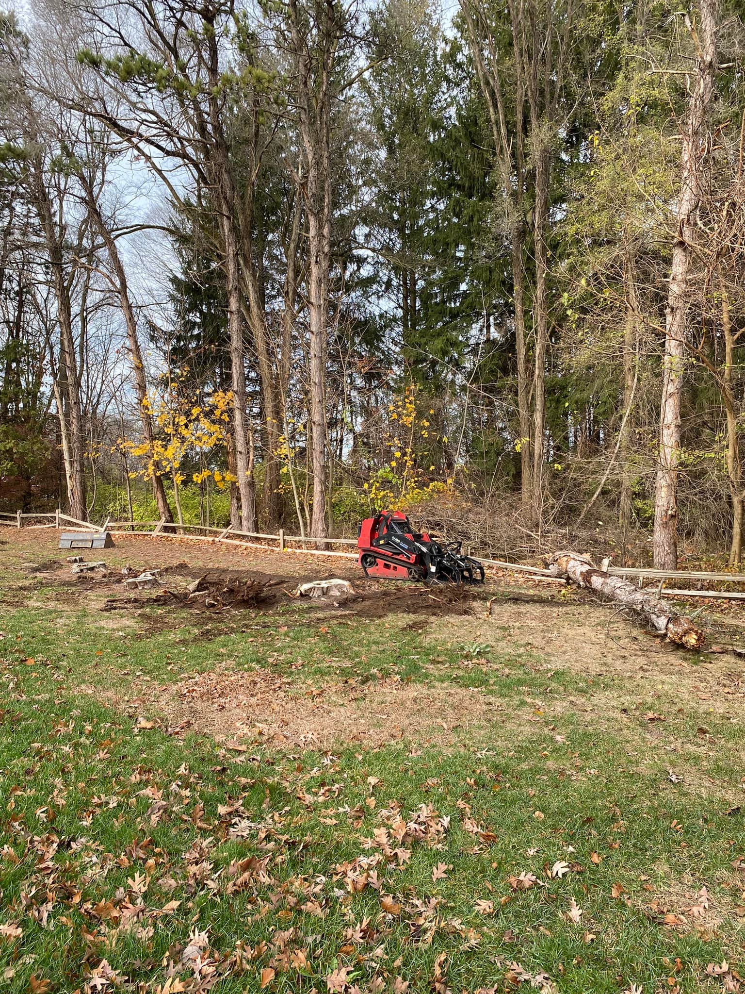Rogue River Tree Service