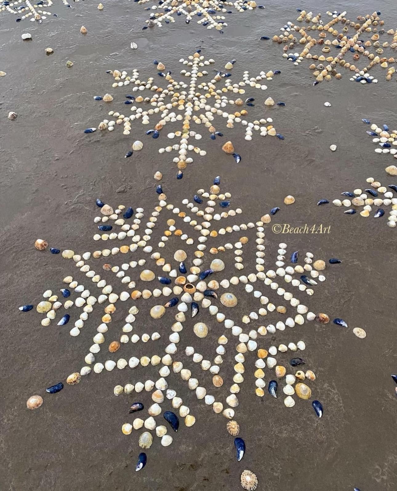 Beach snowflakes made of shells and... - hello, Wonderful