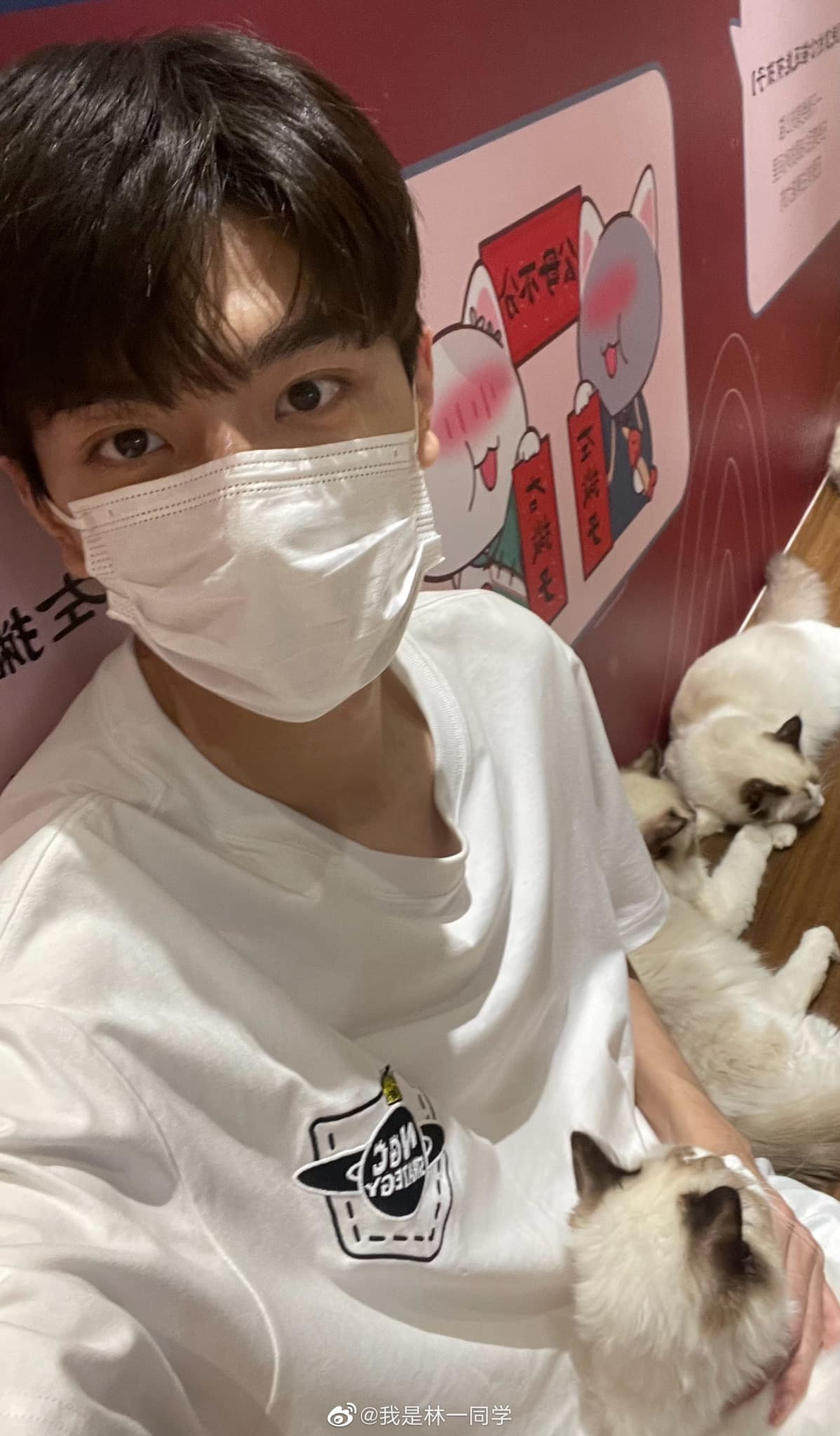 2021.07.10 LinYi’s Weibo Update... - LinYi Lover Thailand 林一 | Facebook
