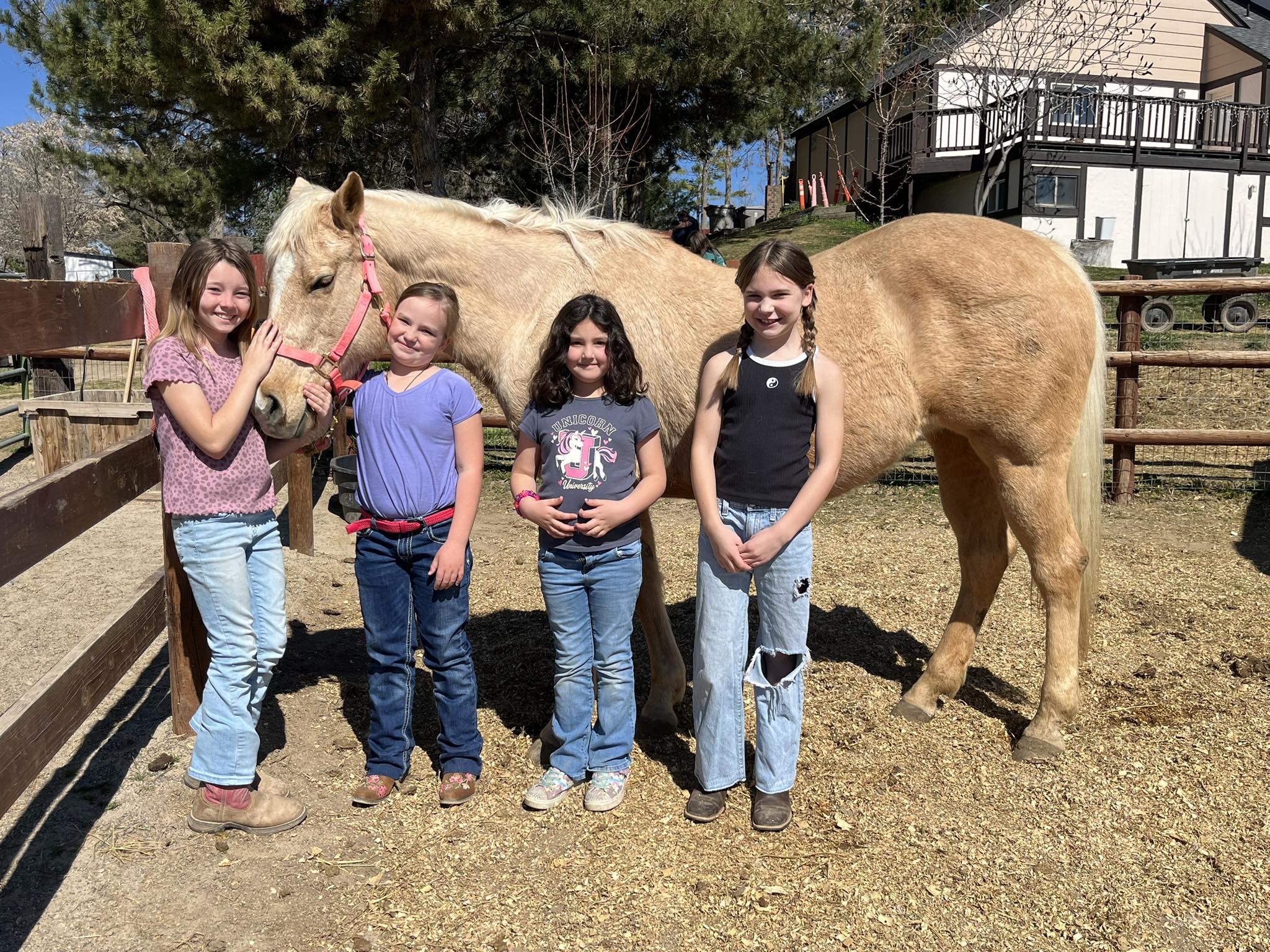 Rocky Ridge Equine LLC added a... - Rocky Ridge Equine LLC