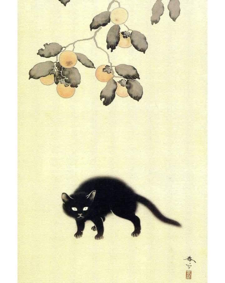 A black cat for your luck on the 13th😻 🖼 Black cat in pine tree