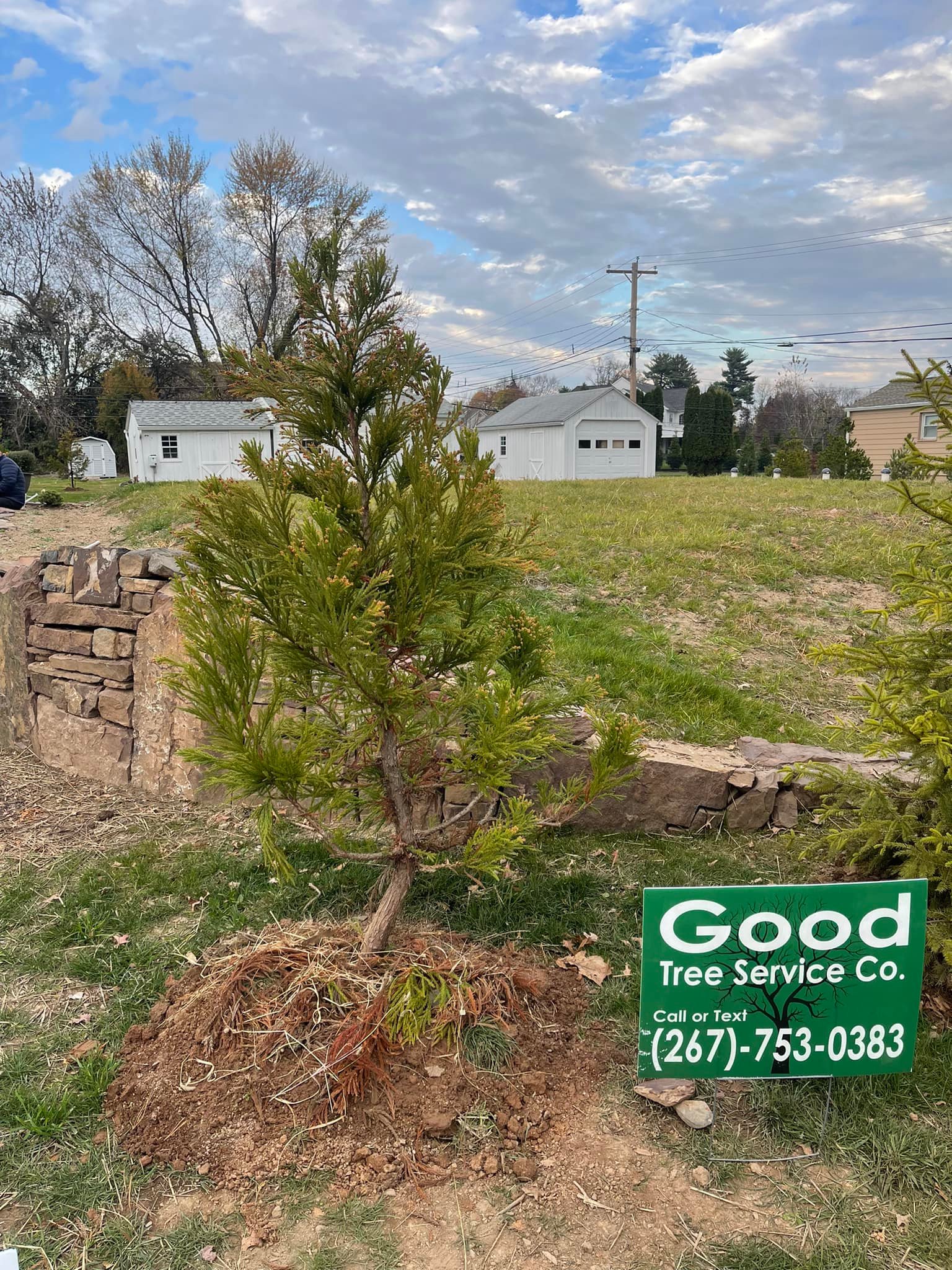 Good Tree Service Co.
