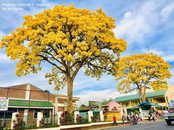 Sa mga Hindi naniniwalang pweding... - ZE's Online Garden