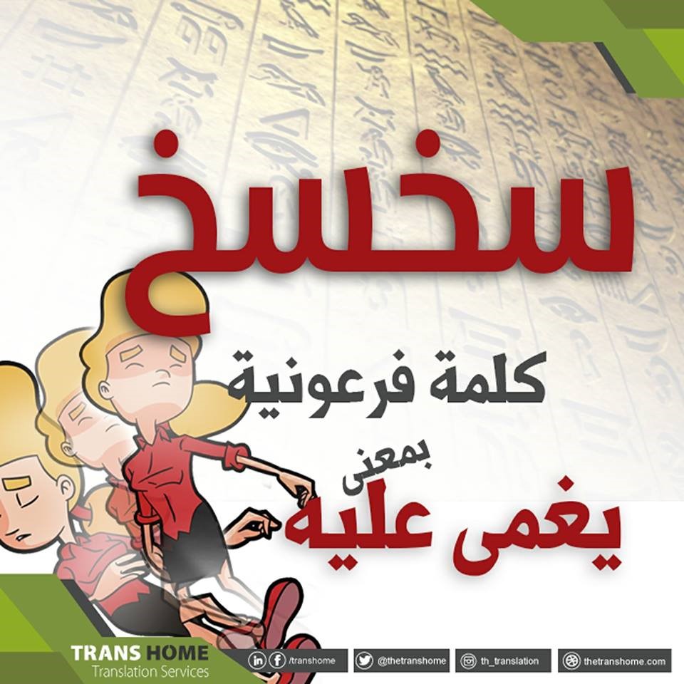 ترجمة في الجيزة - أصل كلمة سخسخ: كلمة فرعونية بمعنى يغمى... | Facebook