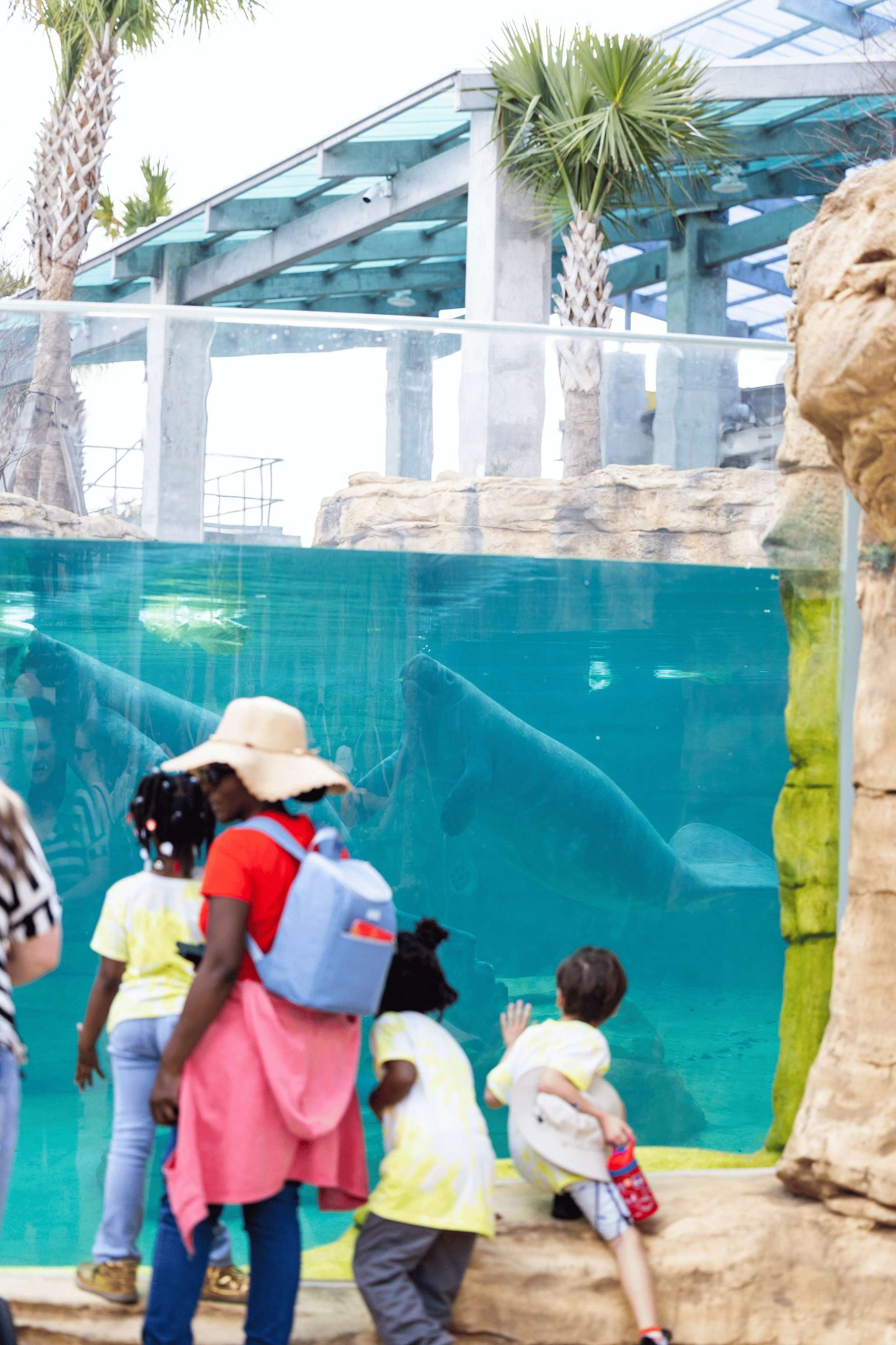 Jacksonville Zoo named No. 4 best zoo in the nation